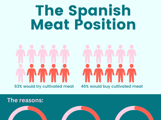 The Spanish Meat Position infographic